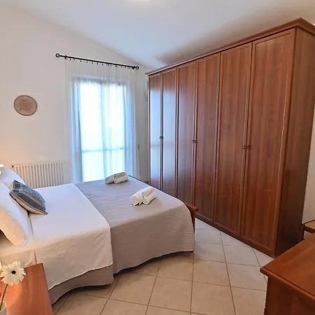 Izzhome Olive Tree * Pula