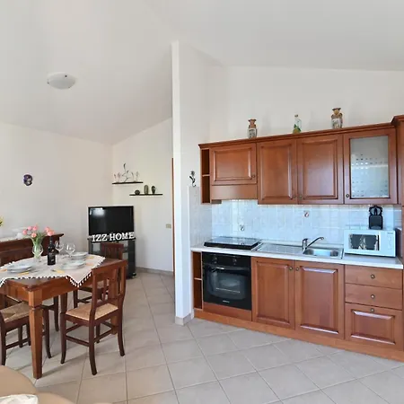 Izzhome Olive Tree *